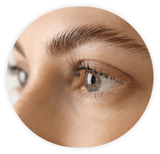 Lash Tint